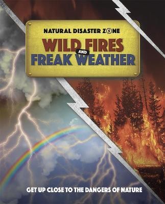 Natural Disaster Zone: Wildfires and Freak Weather(English, Paperback, Hubbard Ben)