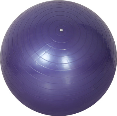 PSR ENTERPRISES Physio Therapy Exercise Zym Ball (55 CM) With Pump For Zym, Yoga & Fitness Gym Ball(With Pump)