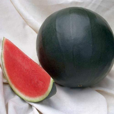 MKR Enterprises Water Melon Seed(770 per packet)