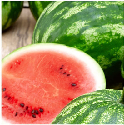 MKR Enterprises Water Melon Seed(960 per packet)