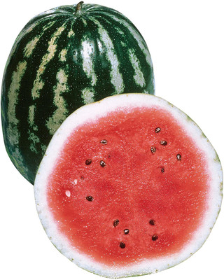 MKR Enterprises Water Melon Seed(710 per packet)
