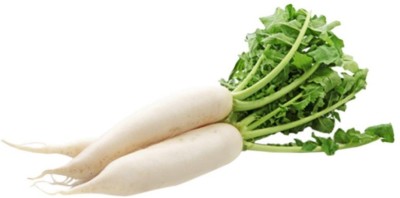 Galexico Upl Radish (Mulli) Vegetable Hybrid Variety Seed(50 per packet)