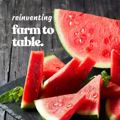 MKR Enterprises Water Melon Seed(800 per packet)