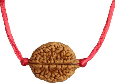 jupiter speaks 2 Mukhi Rudraksha Pendant Indian With Lab Certificate Brown Color Size 26 - 35mm Wood Pendant