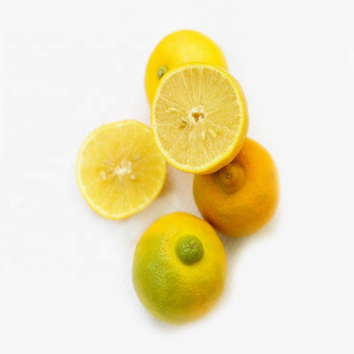 Klone CITRUS LIMETTA - SWEET LEMON, ROMAN LIME Seed(5 per packet)