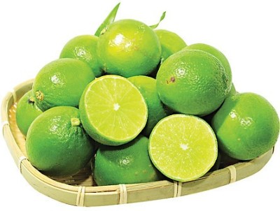 Klone Sweet Mosambi Citrus Limetta Plant Seed Seed(15 per packet)