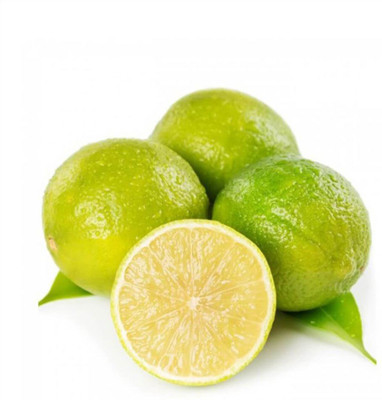 CEZIUS Fruit Plant Seeds Sweet Mosambi Citrus Limetta Plant Seed-a23-71FV Seed(12 per packet)