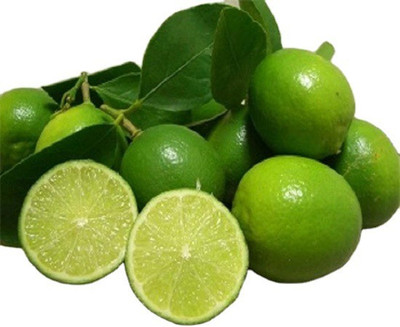 Klone Mosambi sweet Citrus Limetta seed Seed(25 per packet)