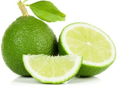 CEZIUS High Germination Sweet Mosambi Citrus Limetta Plant Seed-a4-90T Seed(18 per packet)