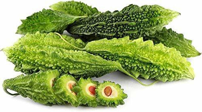 CYBEXIS TLX-92 - Bitter Gourd / Karela - (100 Seeds) Seed(100 per packet)