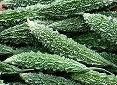 MKR Enterprises Bitter gourd Seeds Seed(200 per packet)
