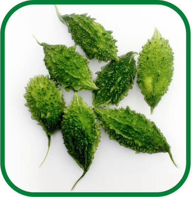 CYBEXIS XLR-57 - SMALL BITTER GOURD (KARELA ) - (100 Seeds) Seed(100 per packet)