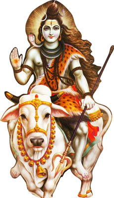 Saiii Designs 58 cm Mahadev Self Adhesive Sticker(Pack of 1)