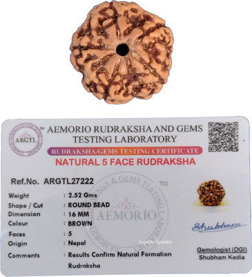 jupiter speaks Premium 5 Mukhi Rudraksha Nepali Chikna Bead Golden Brown Color Beads 15-16 mm Wood Pendant