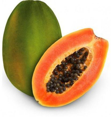 Farmonix Florida Royale Papaya Seeds Seed(20 per packet)