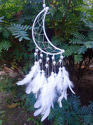 gandak moon dream6tt Car Hanging Ornament(Pack of 1)