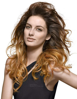 Thrift Bazaar Chestnut Ombre Deep Wavy Curly Clip on  Extension Hair Extension