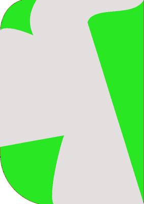 Stookin 8X 12ft,2In1 Colors Single Photography Backdrop(Parrot Green & White 2in1) Reflector