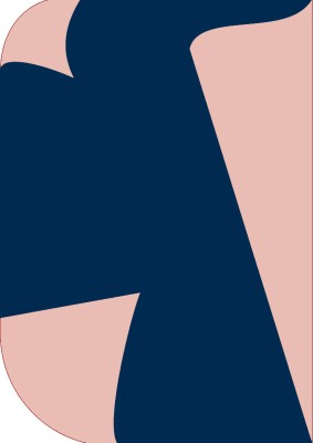 Vistook 8X 12ft ,2 In 1 Colors Single Photography Backdrop(Pink & Navy Blue 2 in 1) Reflector