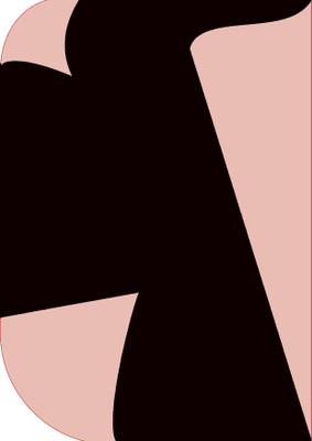 Cam cart 8X 12ft ,2 In 1 Colors Single Photography Backdrop (Pink & Black2 In 1 ) Reflector