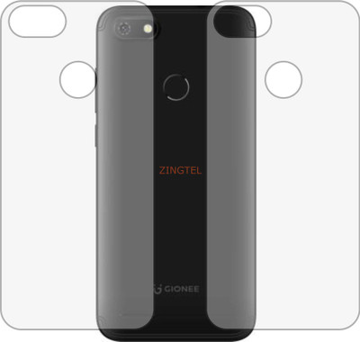 ZINGTEL Back Screen Guard for GIONEE F205 PRO (Matte Finish)(Pack of 2)