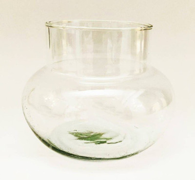 Virya Beautiful Clear Glass Pot for Lucky Bamboo Plant/ Money Plant (Without Plants) Plant Container Set(Glass)