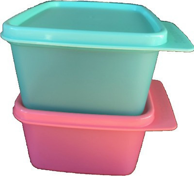 TUPPERWARE Plastic Utility Container  - 500 ml(Pack of 2, Green, Pink)