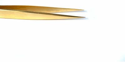lash lounge by shagun gupta Lash Lounge Classic Tweezer(Pack of 1)