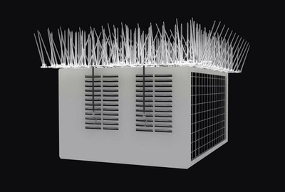 lawera Bird Spike