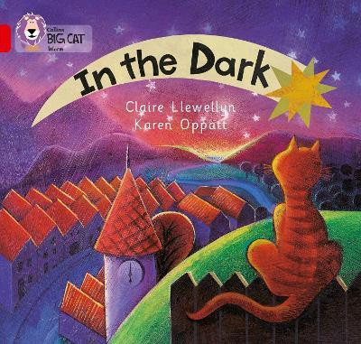 In the Dark(English, Paperback, Llewellyn Claire)