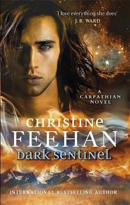 Dark Sentinel(English, Paperback, Feehan Christine)