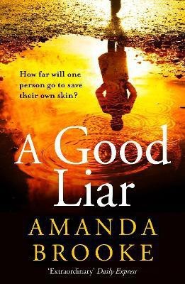 A Good Liar(English, Paperback, Brooke Amanda)