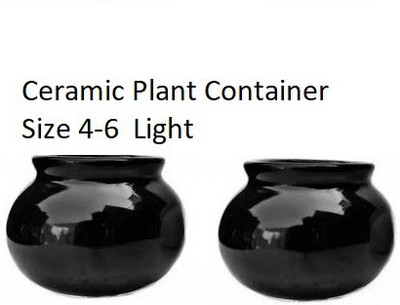 OriginalCeramics ceramic pot Small Matki Pot Plant Container Set(Pack of 2, Ceramic)