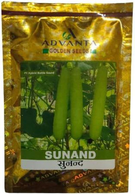 Jevik f1 hybrid upl advanta sunand bottlegaurd Seed(2 g)