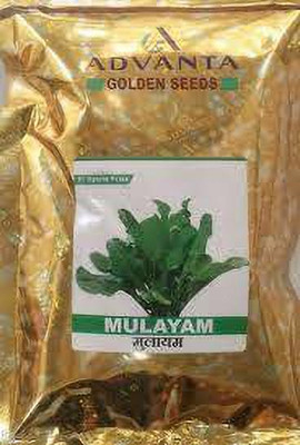 FRESHO f1 hybrid upl advanta mulayam spinach Seed(2 g)