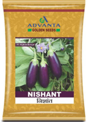 Jevik f1 hybrid upl advanta nisant brinjal Seed(2 g)