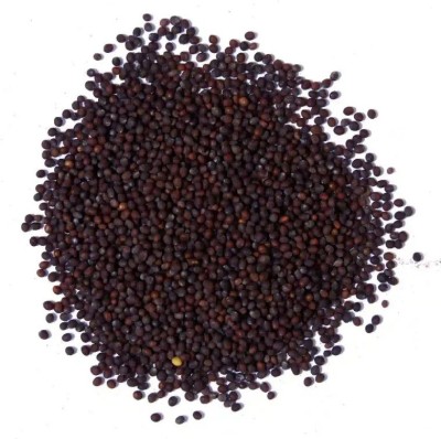 Nutiva BLACK MUSTARD-SARSO KALI-MOHARI-SARSON KAALI-BRASSICA NIGRA Seed(150 g)