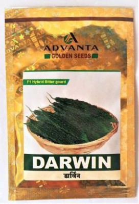 Jevik f1 hybrid upl advanta darvin ladyfinger Seed(2 g)