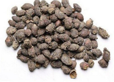 Nutiva JAMUN GUTHLI-JAAMUN SEEDS-SYZYGIUM CUMINI-BLACK PLUM-JAVA PLUM Seed(300 g)