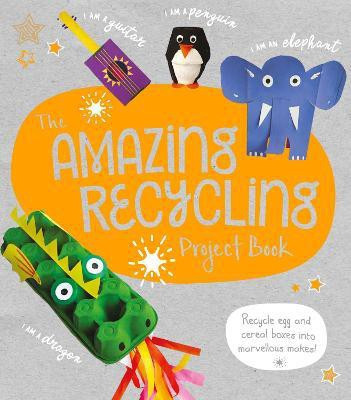 The Amazing Recycling Project Book(English, Paperback, Stanford Sara)