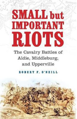 Small but Important Riots(English, Hardcover, O'Neill Robert F)