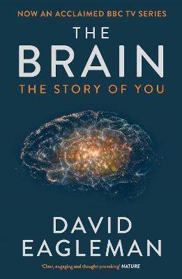 The Brain  - The Story of You  (English, Paperback, Eagleman David)