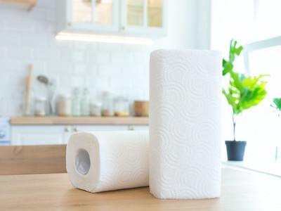 PVA 4 Ply Kitchen Tissue/Towel Paper Roll Soft Non Washable Tissue Roll Pack of 2(4 Ply, 100 Sheets)