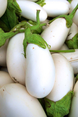 MKR Enterprises White Brinjal Seed(500 per packet)