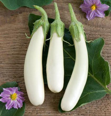 ENINE White Brinjal Seed(300 per packet)