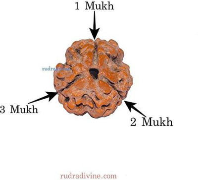 RUDRA DIVINE Wood Brown Jewellery Set(Pack of 1)