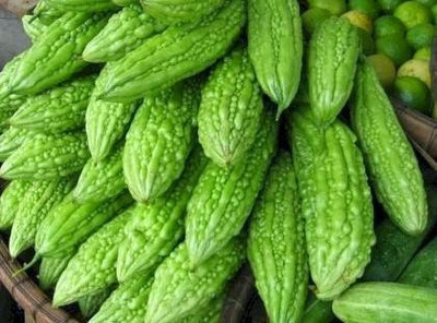 UGRA Bitter Gourd Seeds Seed(1000 per packet)