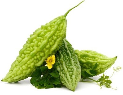 UGRA Bitter Gourd Seeds // Karela Seeds Seed(100 per packet)