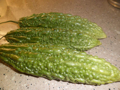 UGRA Chinese Bitter Melon Green Skin Seed(200 per packet)