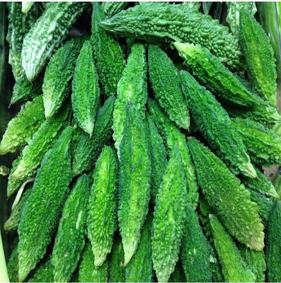 GOCROP Bitter Melon Seed(200 per packet)